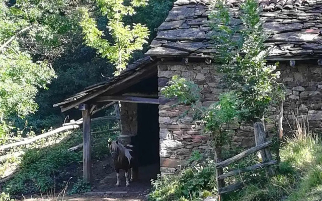 Asturias Boho Chic