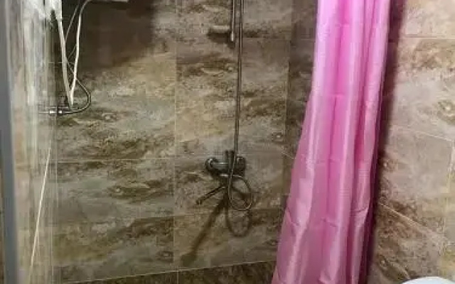 Guesthouse "Girgvliani"