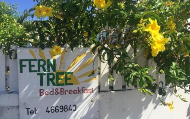 Fern Tree Bed And Breakfast in Basseterre, St. Kitts and Nevis from 140$, photos, reviews - zenhotels.com hotel front