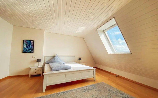 Rheinloft 3 - Große Giebelwohnung mit Dachterrassen an der Rheinpromenade