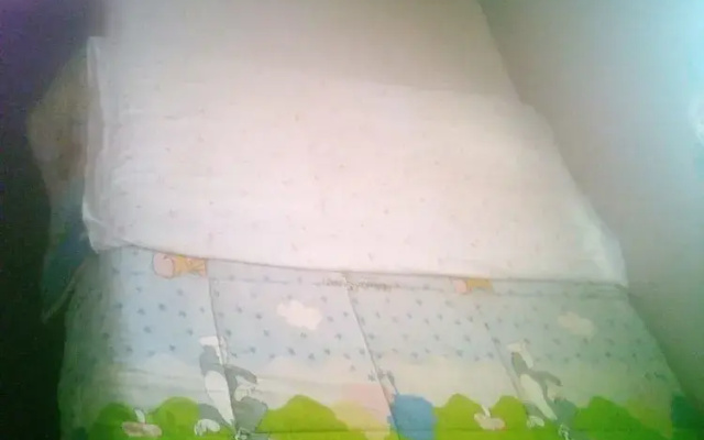 Wespy Guest House