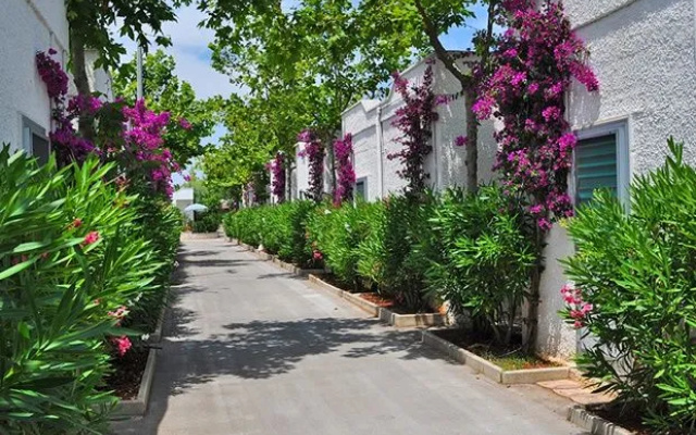 Villaggio Oasi Le Dune Resort