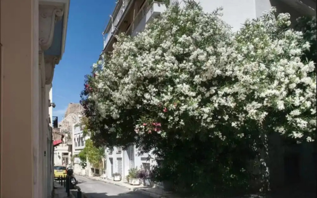 Nephiria, Under the Acropolis, In the heart of Plaka