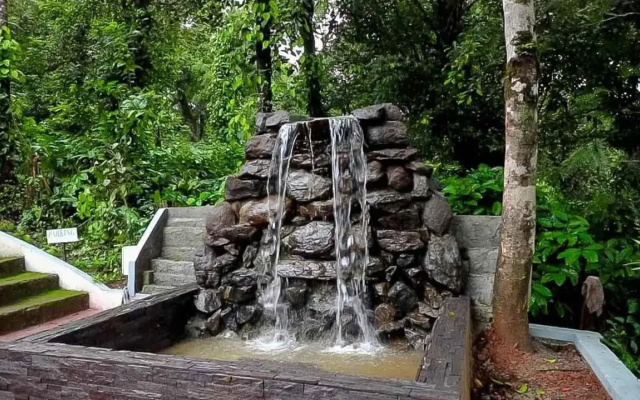 Young Island - Coorg