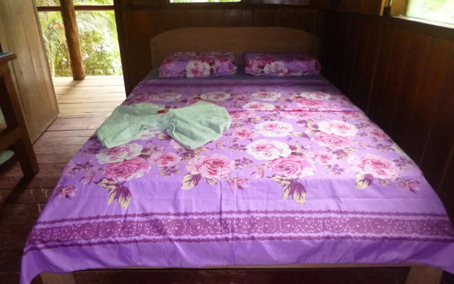 Dolphin Lodge