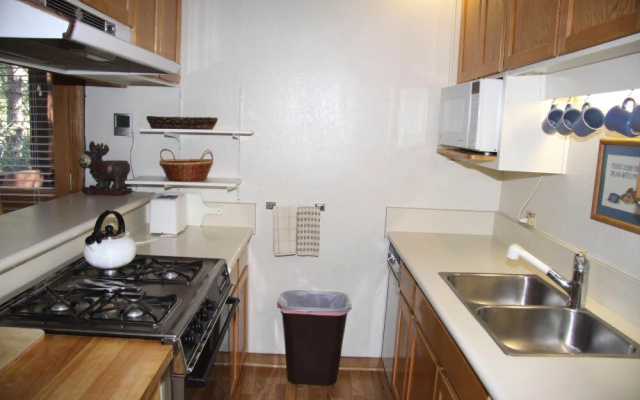 Northstar Ski Trail Retreat - 1 Br Condo