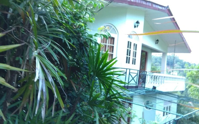 43 Homestay