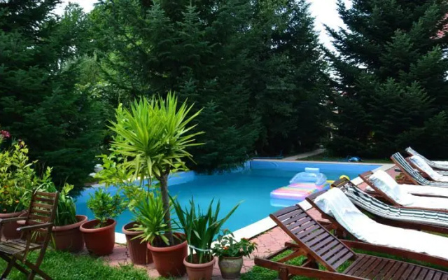 Transilvania House