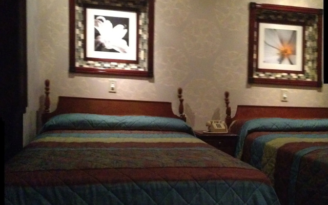 Hotel 31
