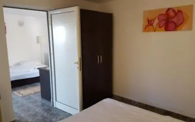 Paloma Holiday Mamaia