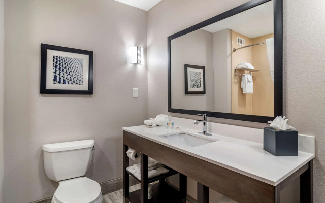 Comfort Suites McDonough Atlanta South