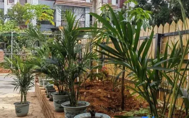 Guanlan Shiguang Homestay