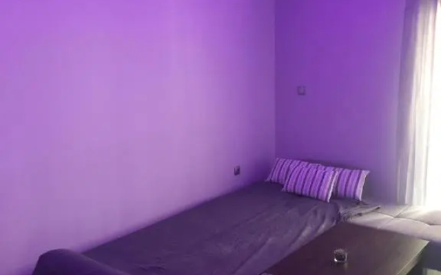 The only luxurious apartment in the center of town