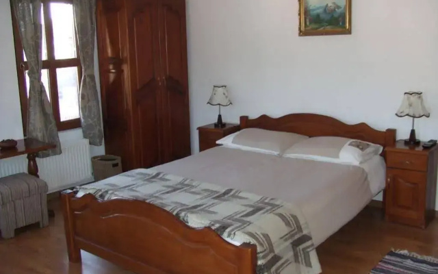 Iliikova House
