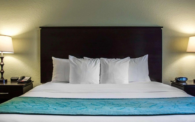 Hampton Inn by Hilton Tampa Fairgrounds Casino