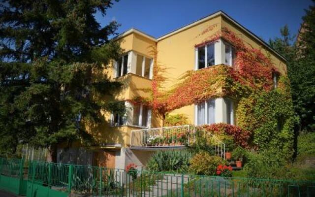 Отель Vila Daniela Чехия, Карловы Вары - отзывы, цены и фото номеров - забронировать отель Vila Daniela онлайн вид на фасад