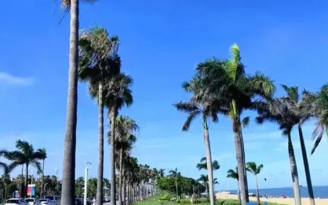 Xiamen | Meet Guanke SeasideCourtyard Family Homestay (Botanical Garden)