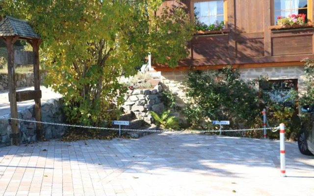 Ferienwohnung Seeblick Nr 3, 2 Zi-Bärental, Feldberg