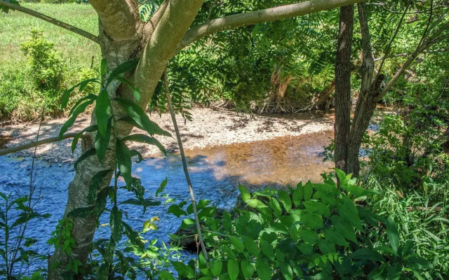 Creekside Splendor
