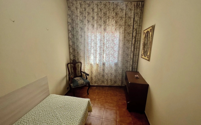 Alma Hostel