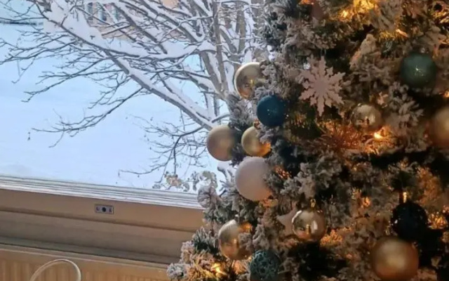 Tyylikäs yhden makuuhuoneen kohde luonnon lähellä