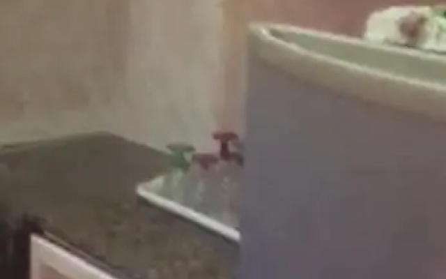 شقة بقرية أندلسية مرسي مطروح