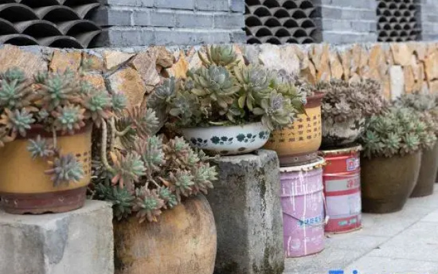Warm and cool homestay