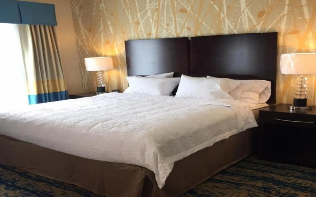 Hampton Inn & Suites Bartonsville