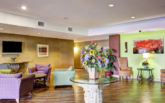 Comfort Suites Copperas Cove