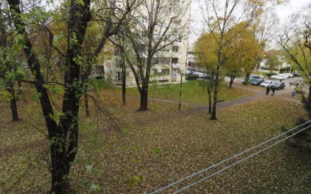 Apartment Alma
