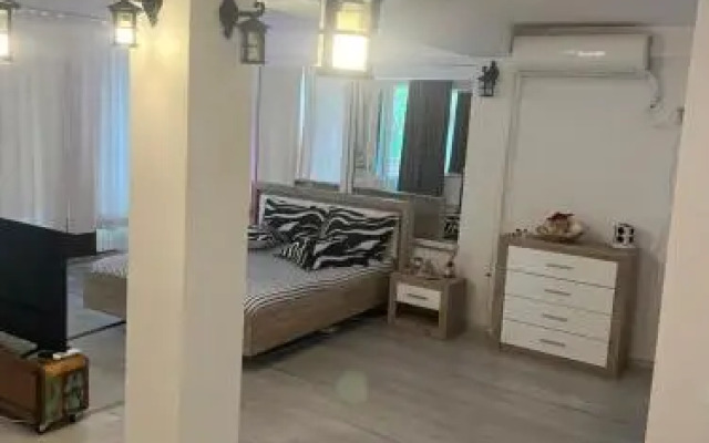 Vila Alga