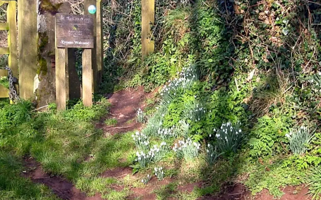 Longlane House B&B, Laugharne