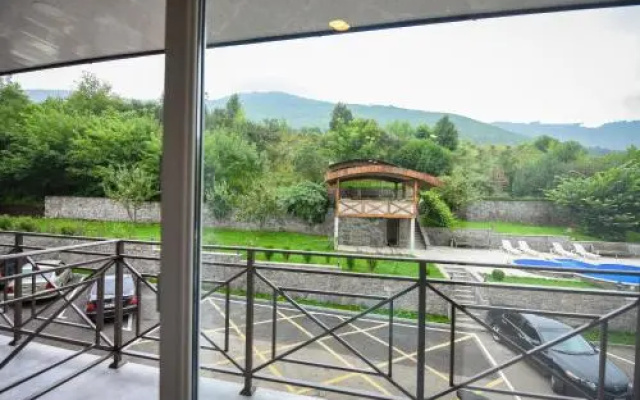 Hotel Laguna