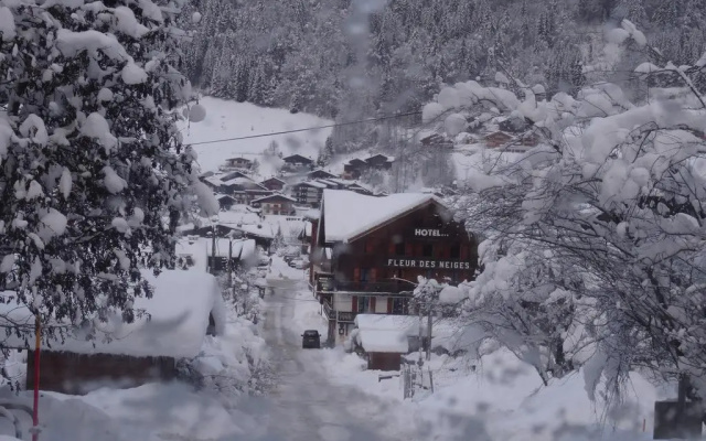 Fleur Des Neiges