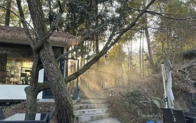 Nanyunye Yinshan Yunsu