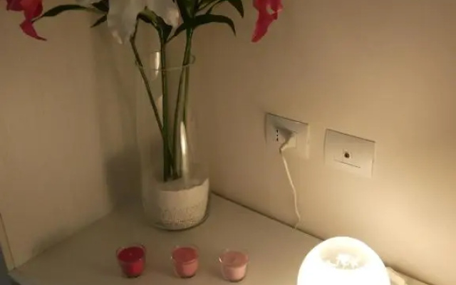 Metro Apartment