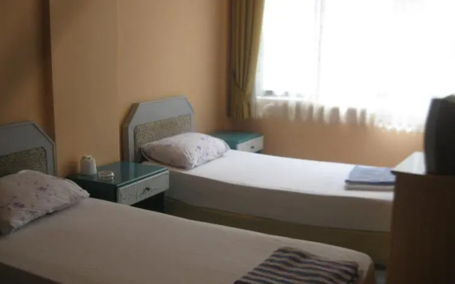 Alp Hotel