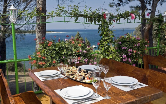 Camping Adria Mobile Homes in Brioni