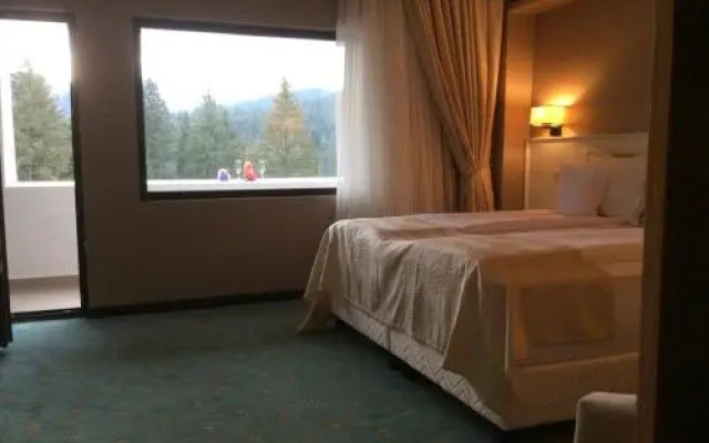 Hotel Hart