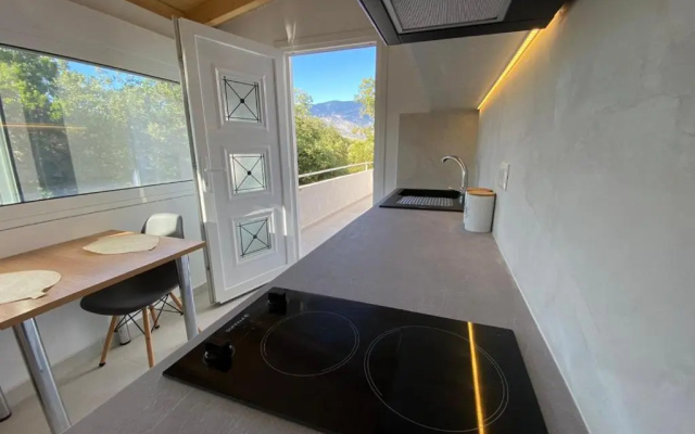 Alexander studio