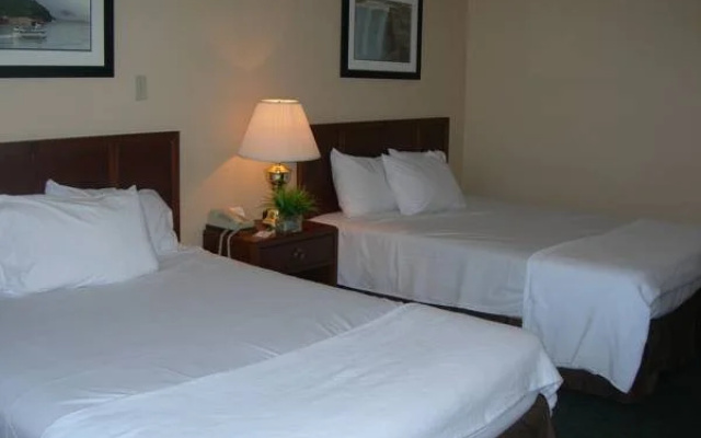 Rodeway Inn by the Falls