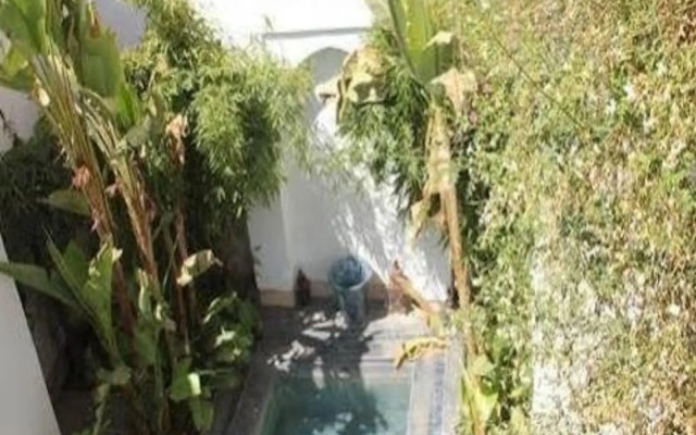 Riad Essakaya
