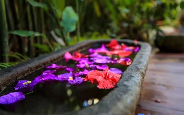 Hidden Garden Inn