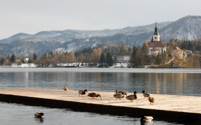 Apartments & Rooms Sebanc by Lake