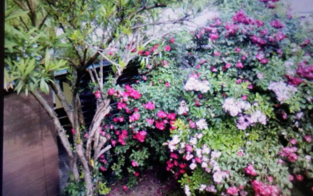 Apartment Floresita