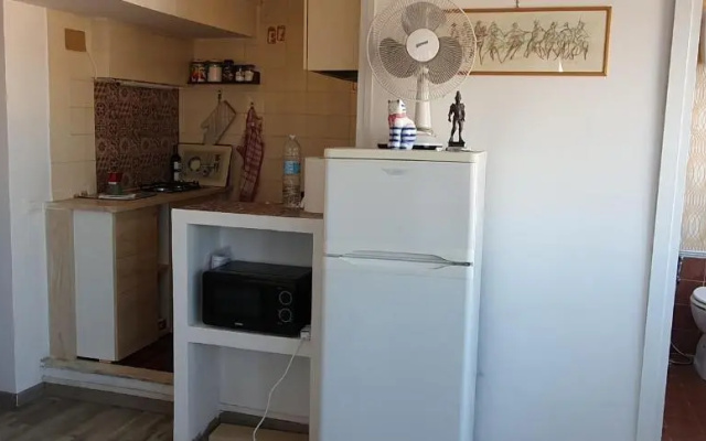 Cat's House