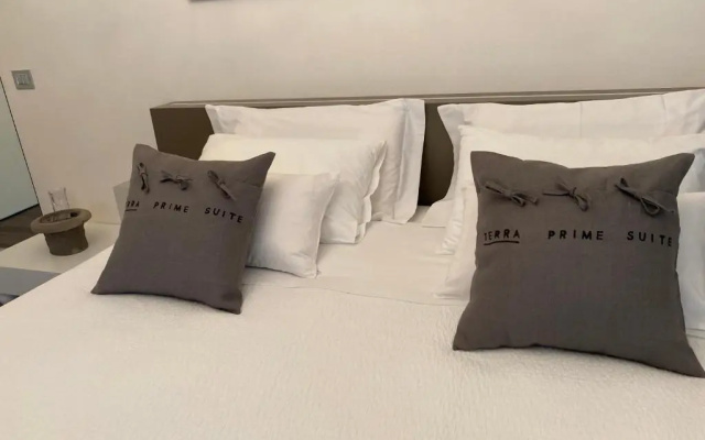 Terra Prime Suite
