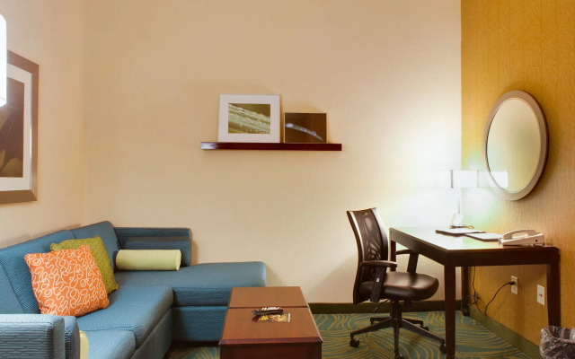 SpringHill Suites by Marriott Savannah Airport