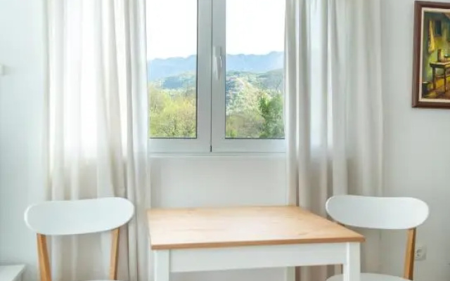 Plamenatz studio apartments