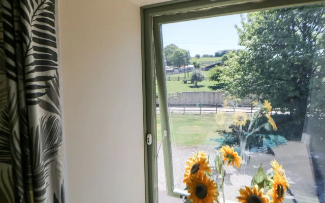 Meadow View